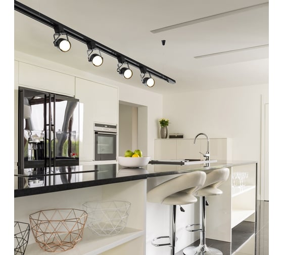 Потолочный светильник Arte Lamp A1310PL-1BK