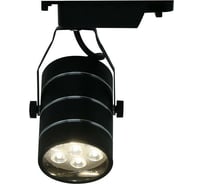 Потолочный светильник Arte Lamp A2707PL-1BK