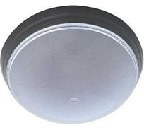 Светильник Horoz Electric УФО ЕРДЖИЕС, пластиковая арматура (дымчатый) 400-214-101 HRZ00001456