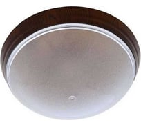 Светильник Horoz Electric УФО ЕРДЖИЕС, пластиковая арматура (ОРЕХ) 400-234-101 HRZ00001464