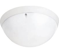 СВЕТИЛЬНИК СВЕТОДИОДНЫЙ АКУА ПОЛНАЯ ЛУНА ОПАЛ 12W 6400K (Белый) IP54 400-315-115 HOROZ ELECTRIC HRZ00002287