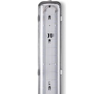 Светильник Lumin'arte Прозрачный ДСП20-36-002-4К