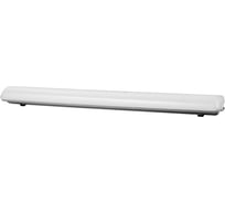 Cветодиодный (LED) светильник Smartbuy TP -60W/6500K/IP65 SBL-TP-60W-65