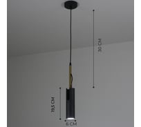 Светильник подвесной ElegantLight DZN- BLACK 8248