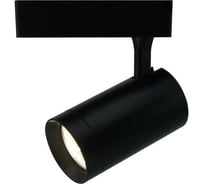 Потолочный светильник Arte Lamp A1720PL-1BK