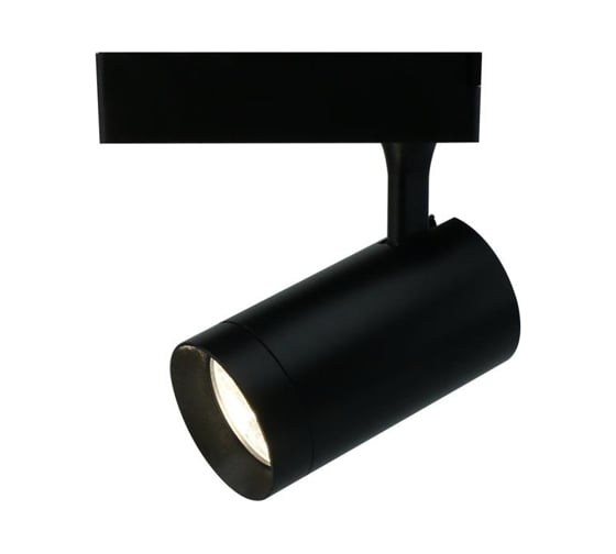 Потолочный светильник Arte Lamp A1720PL-1BK 1