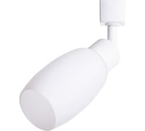 Потолочный светильник Arte Lamp A3055PL-1WH
