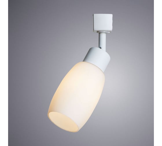 Потолочный светильник Arte Lamp A3055PL-1WH
