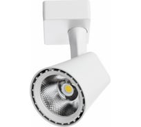 Потолочный светильник Arte Lamp A1810PL-1WH