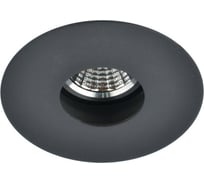Потолочный светильник Arte Lamp A3217PL-1BK