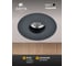 Потолочный светильник Arte Lamp A3217PL-1BK 6