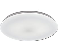 Потолочный светильник Ritter LED 24Вт диаметр 300мм 4000К STARDUST LED, 52188 4
