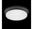 Потолочный светильник Ritter LED 12Вт, диаметр 190мм 4000К ORBIT LED, 52134 1 1