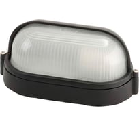 Светильник уличный СВЕТОЗАР влагозащищенный с верхним защитным кожухом, овал, цвет черный, 60 Вт SV-57211-B