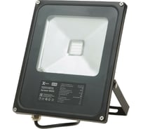 Прожектор X-flash LED XF-FLS-RGB-В-30W 46935