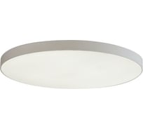 Потолочный светодиодный светильник ЭкономСвет 51295/1L WT WT