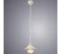 Подвесной светильник Arte Lamp A4577SP-1WG 2