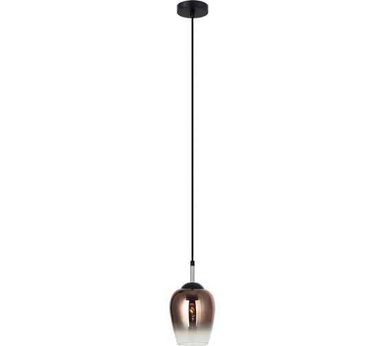 Подвесная люстра Lumien Hall МЕГАН 4036/1P-BK-COP 1