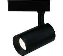 Потолочный светильник Arte Lamp A1710PL-1BK