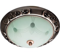 Потолочный светильник Arte Lamp A3014PL-2AC