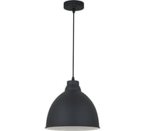 Подвесной светильник Arte Lamp A2055SP-1BK