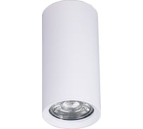 Накладной светильник BRIZZI ARAS BR08093