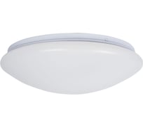 Потолочный светильник BRIZZI RONDA BR00568