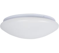 Потолочный светильник BRIZZI RONDA BR00567