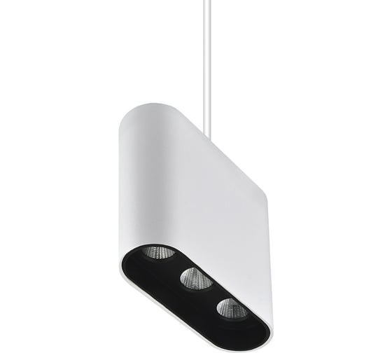 Подвесная люстра Lumien Hall ЭЛОЙ 8004/3P-WT-BK 1