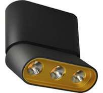 Люстра Lumien Hall ФЕРГУС 8005/3CS-BK-GD