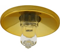 Декоративный точечный светильник KANLUX ELSE CT-2116C-G 823