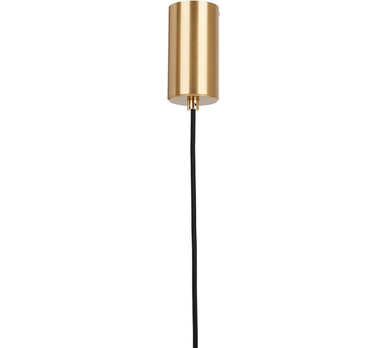Подвесная Люстра Lumien Hall АГОСТА LH4094/1P-GD-NW