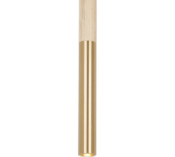 Подвесная Люстра Lumien Hall АГОСТА LH4094/1P-GD-NW