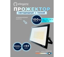 Светодиодный прожектор тонкий Eleganz LUX 100W холодный 6000К 220V 1201