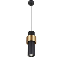Подвесная Люстра Lumien Hall БРЕССО LH4096/1P-SBK-GD