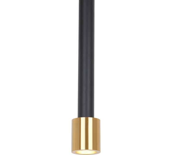 Подвесная люстра Lumien Hall САЛЕРНО LH4098/1P-SBK-GD