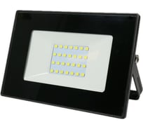 Светодиодный прожектор Sweko SFL-SL-30W-230-6500K-BL