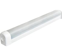 Светильник TDM ELECTRIC СПО 60x1 под LED лампу T8 SQ0327-0701