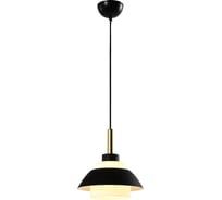 Подвесная люстра Gerhort G51255/1BK+AB BK