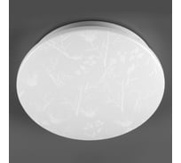 Светильник светодиодный General Lighting Systems GSMCL-020-18 Plant 230*253*58 6500к 1170лм 800260