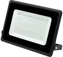 Светодиодный прожектор truEnergy IP65 100W 6500K 8000Lm 292x225x33мм черный алюминий 13101