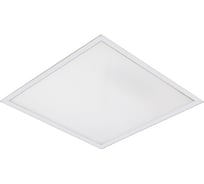 Люминесцентный встраиваемый общественный светильник АСТЗ ЛВО05-4х18-011 OPL 1072418011