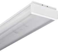 Люминесцентный потолочный общественный светильник АСТЗ ЛПО46-2х36-712 Norma 1046236712