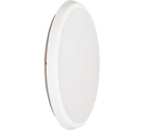 Светодиодный настенный общественный светильник АСТЗ ДБО88-12-041 CDR EM3 840 1140412041