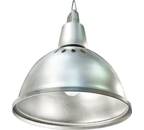 Ртутный подвесной промышленный светильник АСТЗ РСП05-250-001 б/а 1005250001