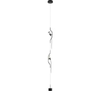 Подвесной светильник LOFT IT Parentesi 10346/2 Black