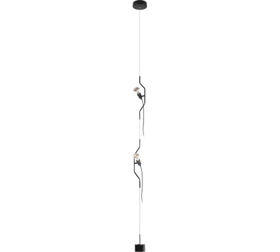 Подвесной светильник LOFT IT Parentesi 10346/2 Black