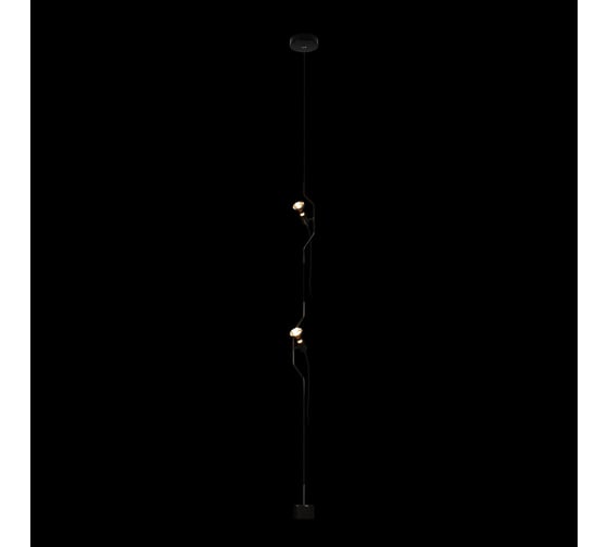 Подвесной светильник LOFT IT Parentesi 10346/2 Black