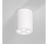 Светильник потолочный светодиодный Elektrostandard Points 7W 4000K белый a067483