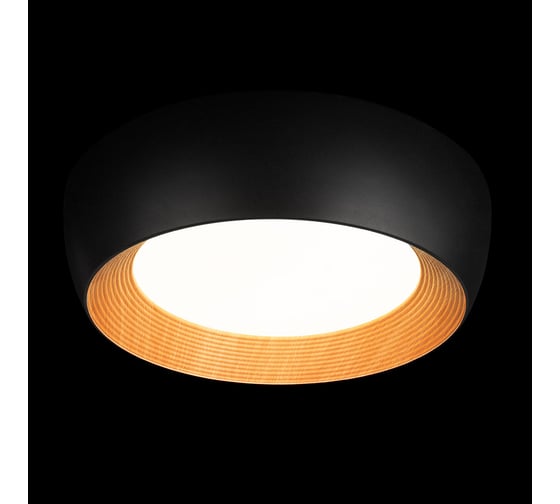 Потолочный светильник LOFT IT Folk 10255/500 Black